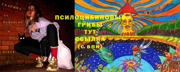 гашик Белокуриха