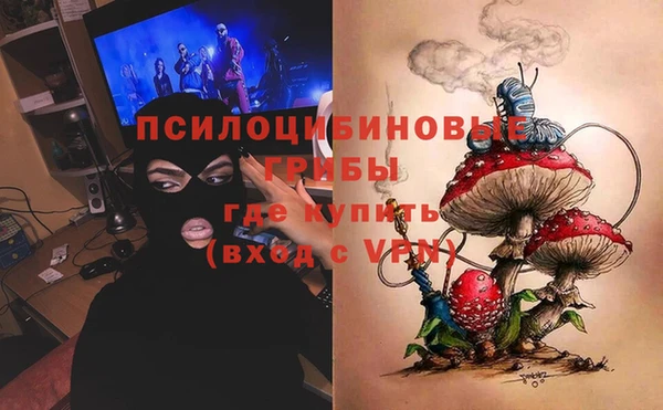 эйфоретик Беломорск