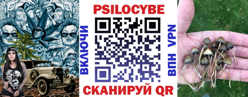 Псилоцибиновые грибы MAGIC MUSHROOMS  закладка  Кувандык 